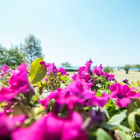 Holiday home Di Mare *